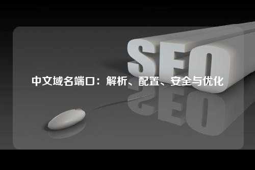 中文域名端口：解析、配置、安全与优化